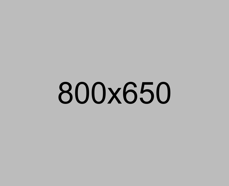 home_musician_portfoliodetails1